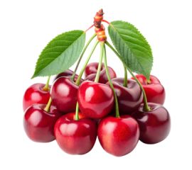 Вишня, черешня, слива, абрикос