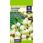 ЛУК на зелень Ранний пучок Семена Алтая