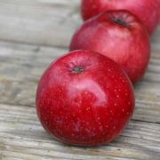 Яблоня Эдерман (красномясая) ЗКС 4л