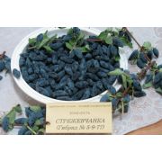 Жимолость Стрежевчанка