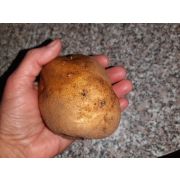 Картофель МЕТЕОР суперэлита 2 кг